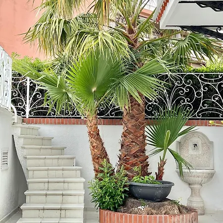 Villa Solaris *